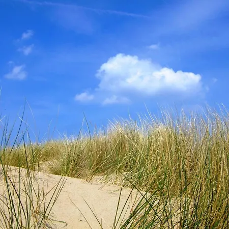 De Strandloper * Callantsoog