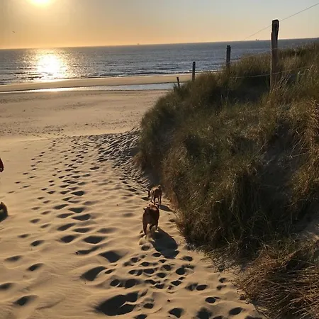 Hébergement de vacances De Strandloper *