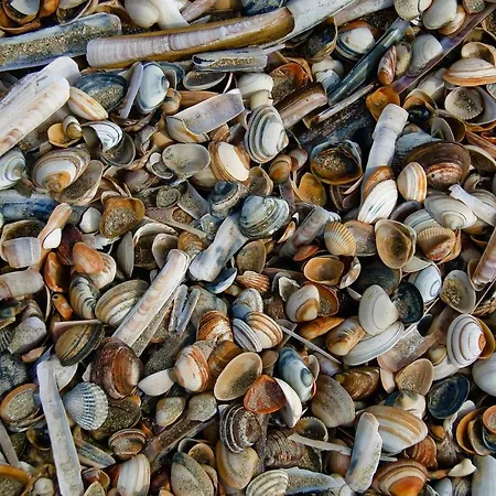 Hébergement de vacances De Strandloper Callantsoog